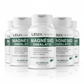Kit 5x Magnésio Dimalato 550mg LEUX HEALTH – 300 Cápsulas fundo branco